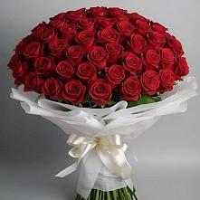 Букет 101 Красная роза Блэк Мэджик в Реутов