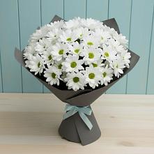 Букет цветов из:  Хризантемы в Реутов