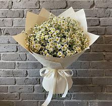 Букет цветов из:  Ромашки #REPLACE_PRED# Реутов