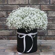 Цветочная композиция из Гипсофила в шляпной коробке в Реутов